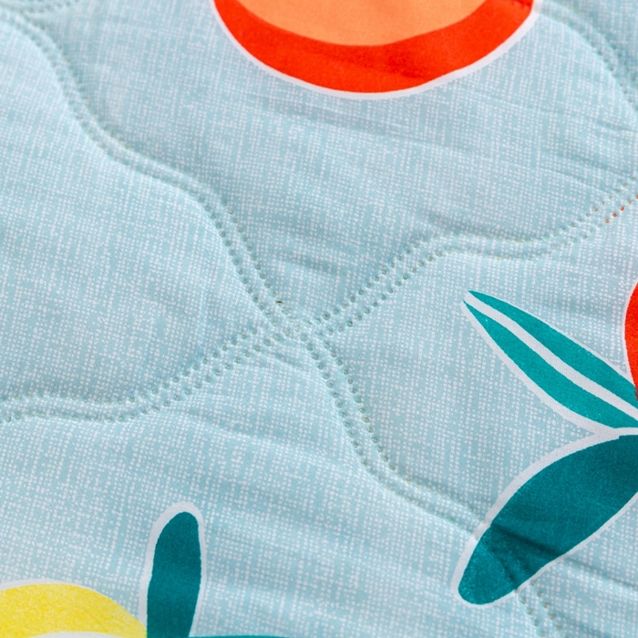 91家纺网 家纺一手货源 找家纺 爱派 2023新款亲肤棉夏被夏凉被空调被被子被芯 苹果乐园