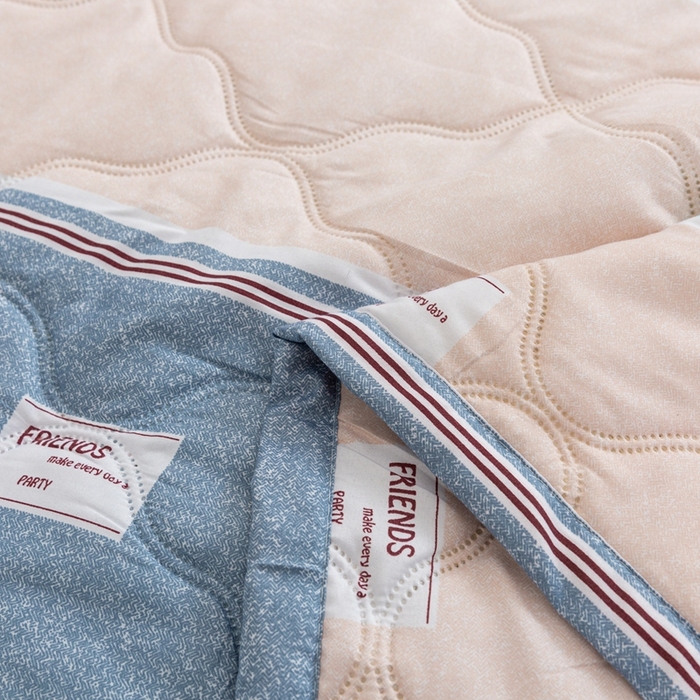 91家纺网 家纺一手货源 找家纺 爱派 2023新款亲肤棉夏被夏凉被空调被被子被芯 美轮美奂