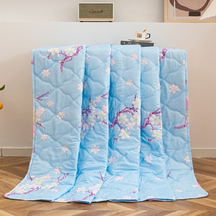 爱派 2023新款磨毛超声波夏被夏凉被空调被被子被芯 腊梅