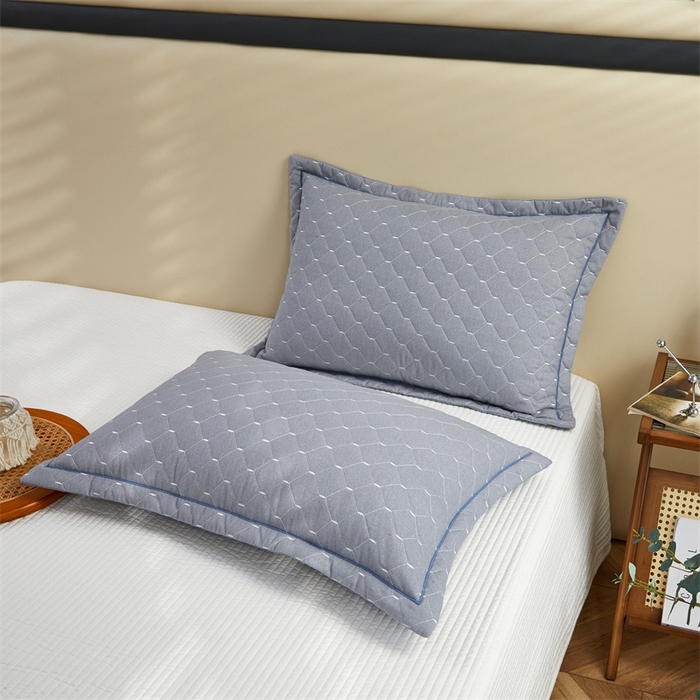 91家纺网 家纺一手货源 找家纺 （总）杜先生 2023新款纯色活性磨毛全棉刺绣夹棉枕套一对