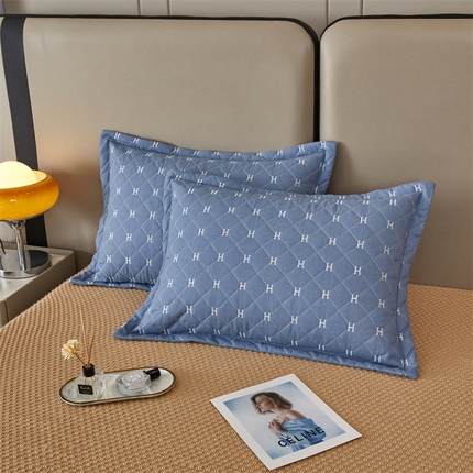 杜先生 2023新款纯色活性磨毛全棉刺绣夹棉枕套一对 字母兰灰