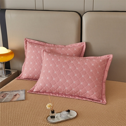 杜先生 2023新款纯色活性磨毛全棉刺绣夹棉枕套一对 字母浅玉