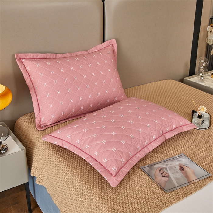 91家纺网 家纺一手货源 找家纺 杜先生 2023新款纯色活性磨毛全棉刺绣夹棉枕套一对 字母浅玉