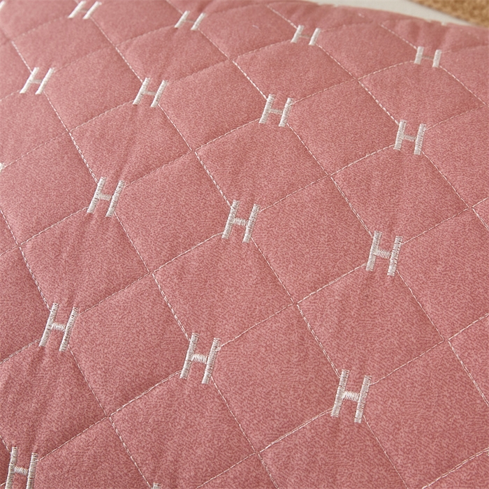 91家纺网 家纺一手货源 找家纺 杜先生 2023新款纯色活性磨毛全棉刺绣夹棉枕套一对 字母浅玉