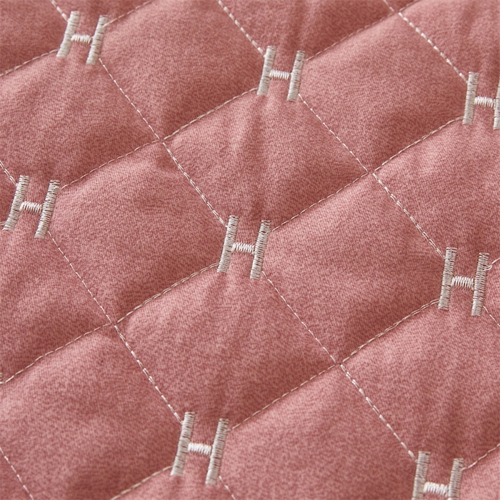 91家纺网 家纺一手货源 找家纺 杜先生 2023新款纯色活性磨毛全棉刺绣夹棉枕套一对 字母浅玉