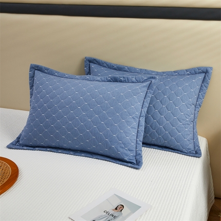 杜先生 2023新款纯色活性磨毛全棉刺绣夹棉枕套一对 米粒兰灰