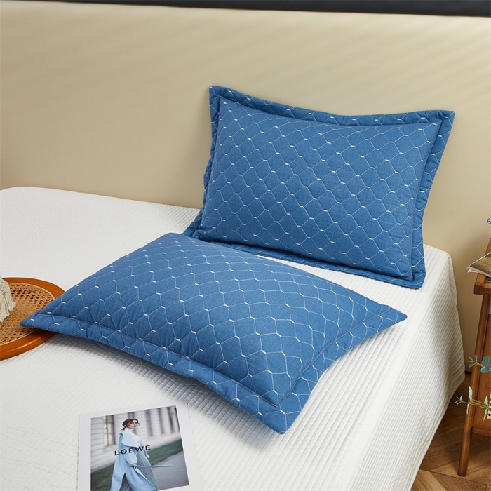 91家纺网 家纺一手货源 找家纺 杜先生 2023新款纯色活性磨毛全棉刺绣夹棉枕套一对 米粒兰