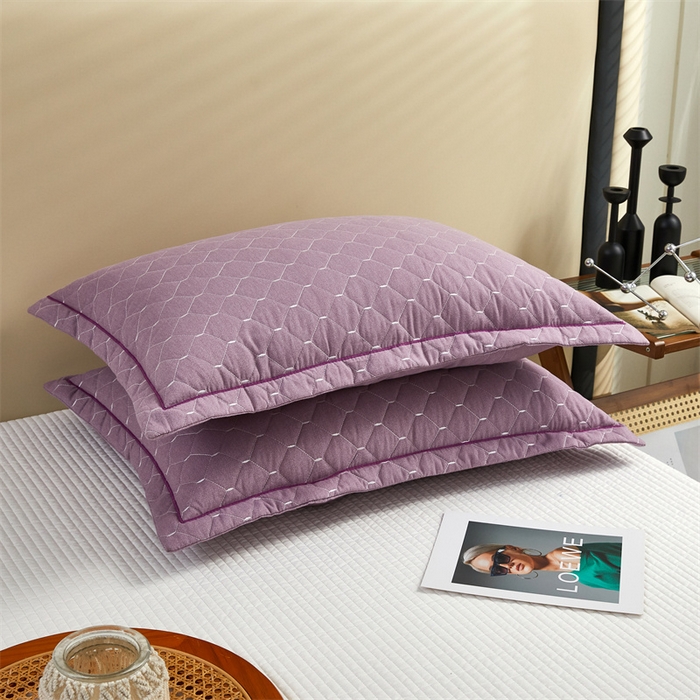 91家纺网 家纺一手货源 找家纺 杜先生 2023新款纯色活性磨毛全棉刺绣夹棉枕套一对 米粒浅雪青