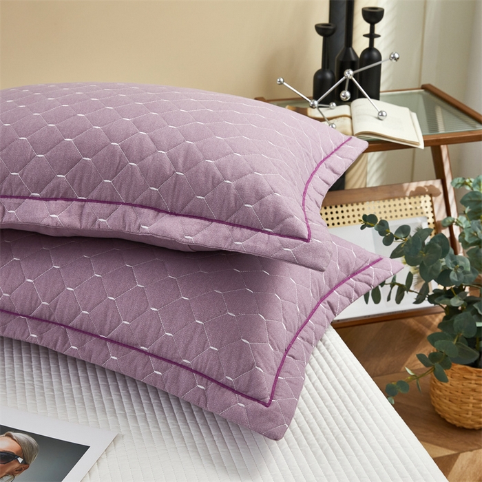 91家纺网 家纺一手货源 找家纺 杜先生 2023新款纯色活性磨毛全棉刺绣夹棉枕套一对 米粒浅雪青