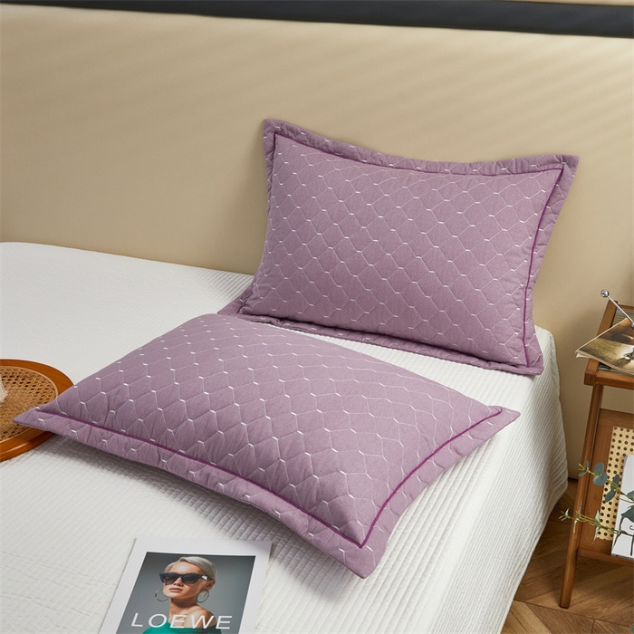 91家纺网 家纺一手货源 找家纺 杜先生 2023新款纯色活性磨毛全棉刺绣夹棉枕套一对 米粒浅雪青