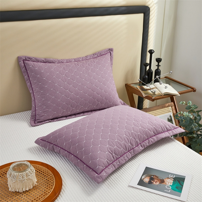 91家纺网 家纺一手货源 找家纺 杜先生 2023新款纯色活性磨毛全棉刺绣夹棉枕套一对 米粒浅雪青