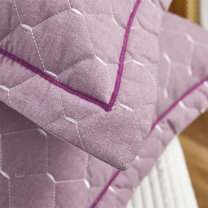 91家纺网 家纺一手货源 找家纺 杜先生 2023新款纯色活性磨毛全棉刺绣夹棉枕套一对 米粒浅雪青