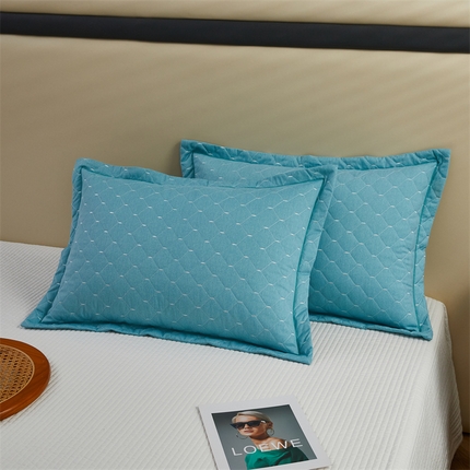 杜先生 2023新款纯色活性磨毛全棉刺绣夹棉枕套一对 米粒清新绿