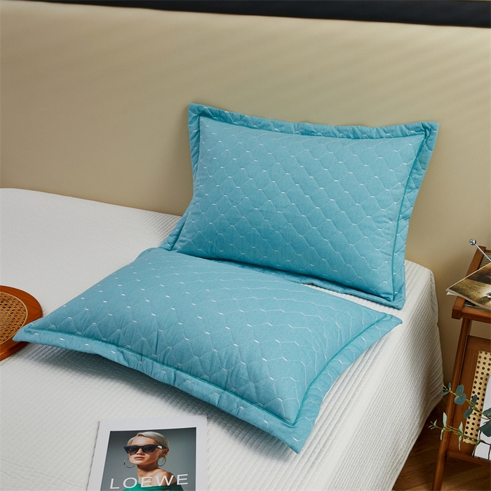 91家纺网 家纺一手货源 找家纺 杜先生 2023新款纯色活性磨毛全棉刺绣夹棉枕套一对 米粒清新绿