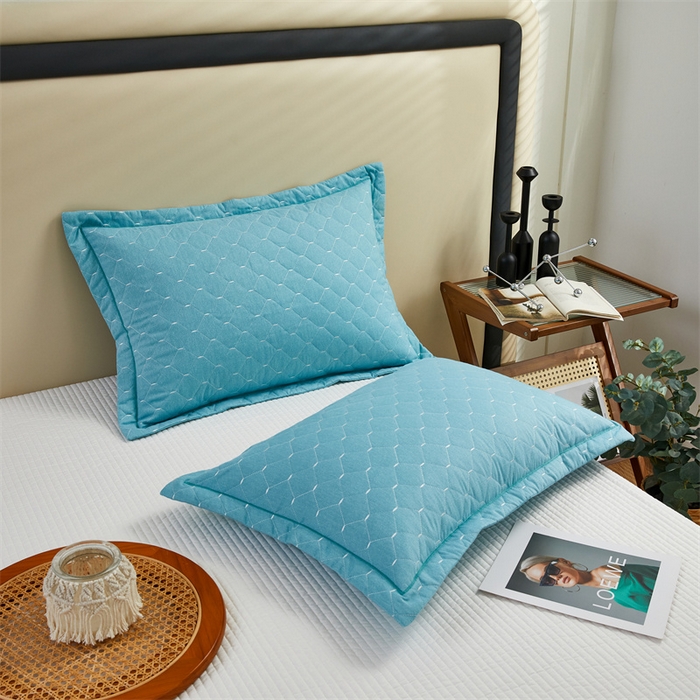 91家纺网 家纺一手货源 找家纺 杜先生 2023新款纯色活性磨毛全棉刺绣夹棉枕套一对 米粒清新绿