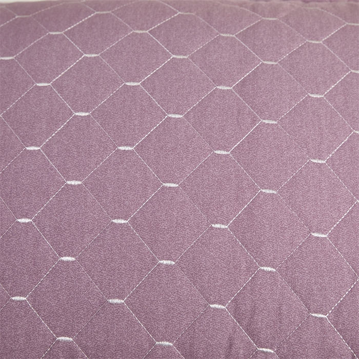 91家纺网 家纺一手货源 找家纺 杜先生 2023新款纯色活性磨毛全棉刺绣夹棉枕套一对 米粒浅雪青