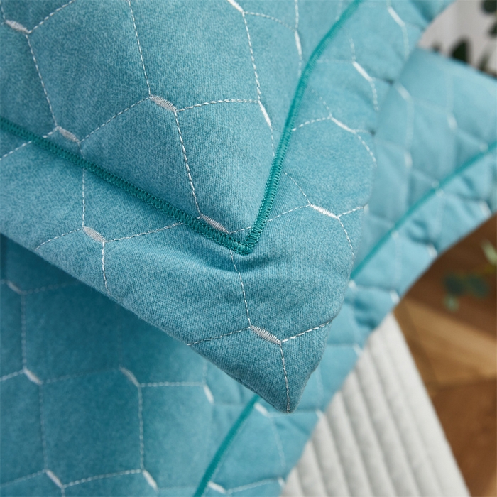 91家纺网 家纺一手货源 找家纺 杜先生 2023新款纯色活性磨毛全棉刺绣夹棉枕套一对 米粒清新绿