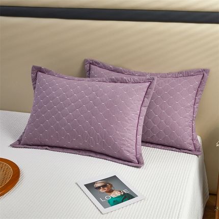 91家纺网 家纺一手货源 找家纺 杜先生 2023新款纯色活性磨毛全棉刺绣夹棉枕套一对 米粒浅雪青