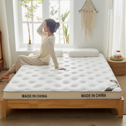 总2024新款蜗牛乳胶抗压棉新款床垫
