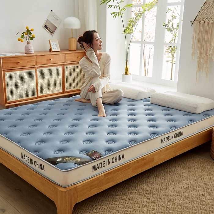 91家纺网 家纺一手货源 找家纺 2024新款蜗牛乳胶抗压棉新款床垫 乳胶抗压立体蜗牛蓝