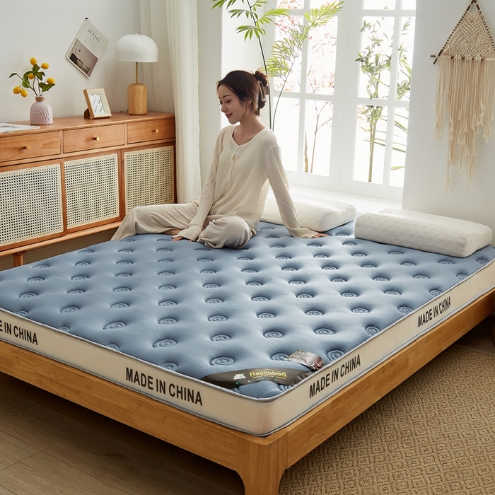91家纺网 家纺一手货源 找家纺 2024新款蜗牛乳胶抗压棉新款床垫 乳胶抗压立体蜗牛蓝