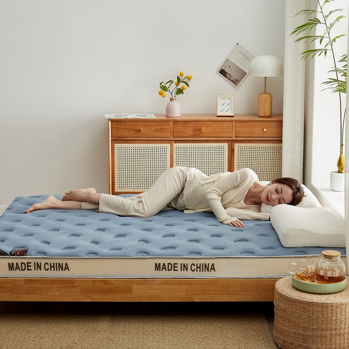 91家纺网 家纺一手货源 找家纺 2024新款蜗牛乳胶抗压棉新款床垫 乳胶抗压立体蜗牛蓝
