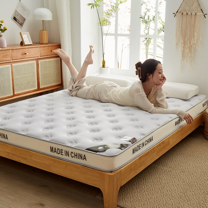 91家纺网 家纺一手货源 找家纺 2024新款蜗牛乳胶抗压棉新款床垫 乳胶抗压棉立体蜗牛浅灰