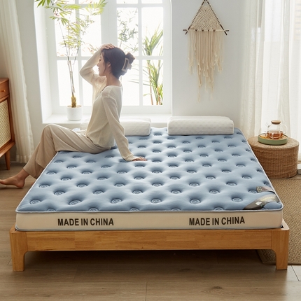 91家纺网 家纺一手货源 找家纺 2024新款蜗牛乳胶抗压棉新款床垫 乳胶抗压立体蜗牛蓝