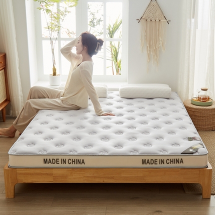 91家纺网 家纺一手货源 找家纺 2024新款蜗牛乳胶抗压棉新款床垫 乳胶抗压棉立体蜗牛浅灰