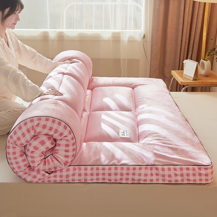 迪乐妮  2023新款A类水洗棉成人立体软床垫 粉格边-粉色