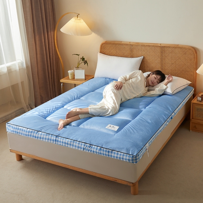 91家纺网 家纺一手货源 找家纺 迪乐妮  2023新款水洗棉成人立体软床垫 蓝格边-天蓝色