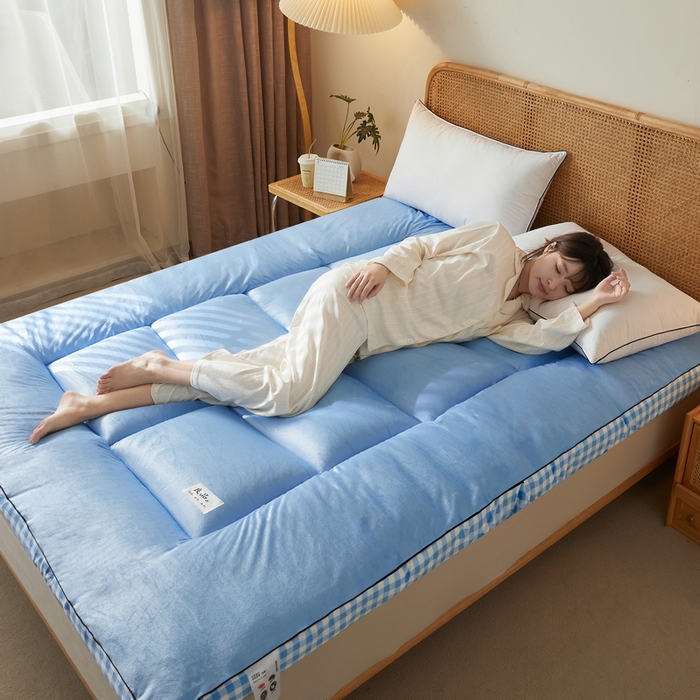 91家纺网 家纺一手货源 找家纺 迪乐妮  2023新款水洗棉成人立体软床垫 蓝格边-天蓝色