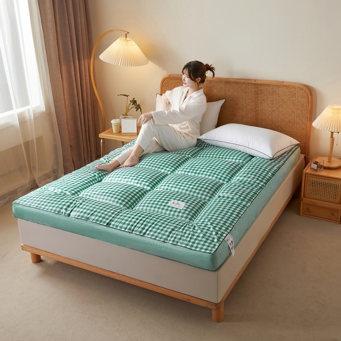 91家纺网 家纺一手货源 找家纺 迪乐妮  2023新款水洗棉成人立体软床垫 水绿格