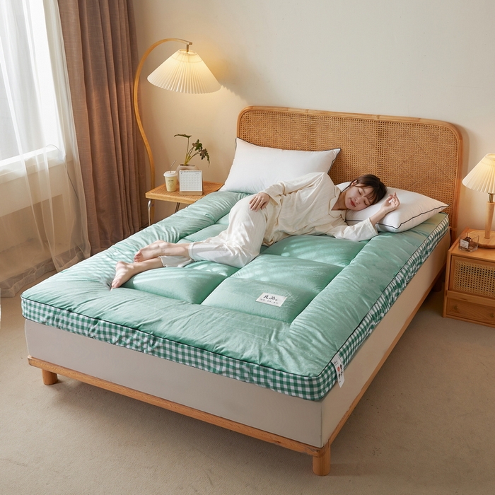 91家纺网 家纺一手货源 找家纺 迪乐妮  2023新款水洗棉成人立体软床垫 绿格边-绿色