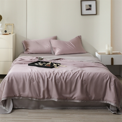 沐白家居202360S天丝纯色双拼夏被四件套被子被芯 满天星紫-曙光银