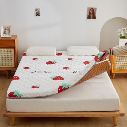 迪乐妮 2024新款成人款日式榻榻米藤席双用床垫 甜心草莓