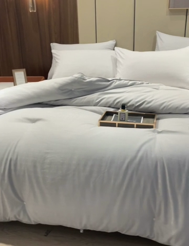 91家纺网 家纺一手货源 找家纺 （总）蓝庭2023新款提花抗菌被子被芯夏被空调被春秋被冬被