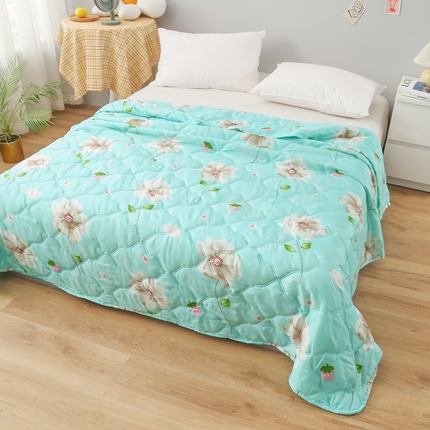 被多多 2023新款舒适可水洗钻石绒夏凉被 镜中花