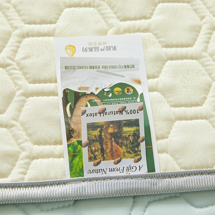 91家纺网 家纺一手货源 找家纺 小萌虎 2023新款冰丝胶质凉席-床席款 水绿