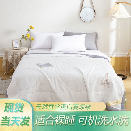 被多多 2024新款蚕丝蛋白夏被 优雅白