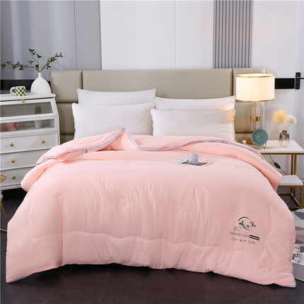 91家纺网 家纺一手货源 找家纺 （总）一博 2024新款大豆被拉链二合一子母被