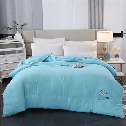 91家纺网 家纺一手货源 找家纺 一博 2024新款大豆被拉链二合一子母被天蓝色