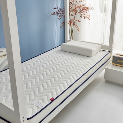 （总）时奥 2023新款针织棉海绵慢回弹记忆床垫（学生床垫）