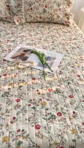 91家纺网 家纺一手货源 找家纺 菊上2023新款全棉-法式风蕾丝床裙四件套 3.挪威生活