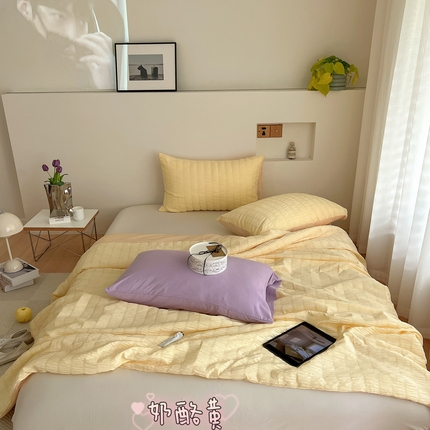 91家纺网 家纺一手货源 找家纺 （总）顾里 2023新款仙女泡泡纱夏被