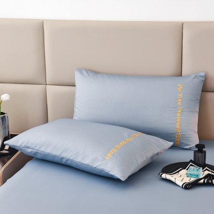 91家纺网 家纺一手货源 找家纺 （总）七仙女家纺 2025新款水洗真丝天丝系列单枕套