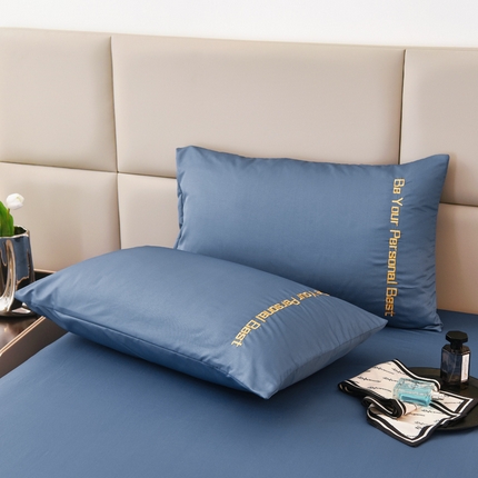 91家纺网 家纺一手货源 找家纺 七仙女家纺 2025新款水洗真丝天丝系列单枕套 绅士蓝