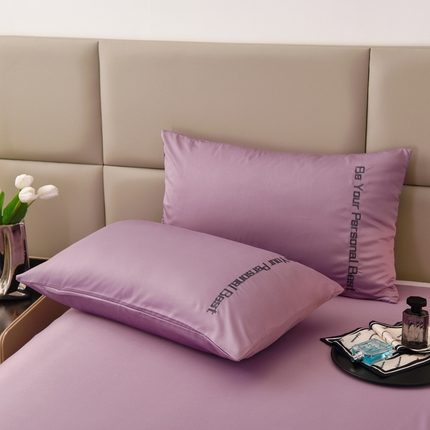 91家纺网 家纺一手货源 找家纺 （总）七仙女家纺 2025新款水洗真丝天丝系列单枕套