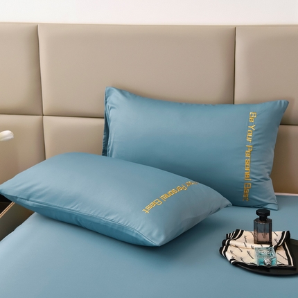 91家纺网 家纺一手货源 找家纺 七仙女家纺 2025新款水洗真丝天丝系列单枕套 晴空蓝