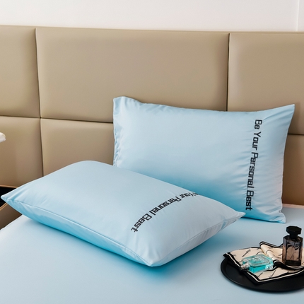 91家纺网 家纺一手货源 找家纺 七仙女家纺 2025新款水洗真丝天丝系列单枕套 浅水蓝